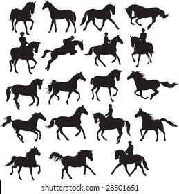 horses vector