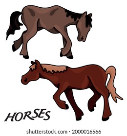 Horses vector flat colored illustration set