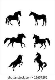 Horses vector illustration