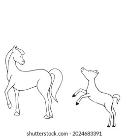Horses vector line isolated on white background. Foal and horse doodle, sketch style, outline. Horse line. Coloring book for children and adults. Print for t shirt, cup, child clothes. Farm animals.