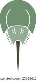 Horseshoe Crab crustacean crab sea food marine