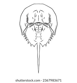 cangrejo herradura Arte de esquema , bueno para recursos gráficos, arte imprimible, adecuado para recursos de diseño, logotipo, diseños de plantilla y más. 