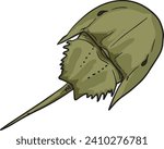 Horseshoe Crab Top View Wild Animal Vector Illustration