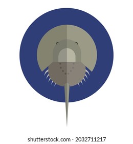 Horseshoe crab toxicity, flat icon vector