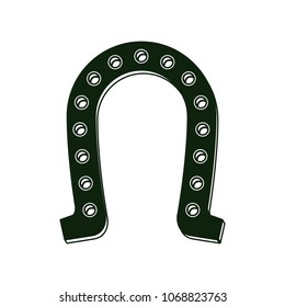 horseshoe saint patrick icon