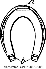 Horseshoes, a shoe for fore foot, with its parts labelled as 'a, and b', representing, toe-calks, heel-calks, respectively, vintage line drawing or engraving illustration.