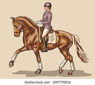A horsewoman riding on a horse. Equestrian sport, dressage.