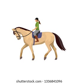 Horsewoman riding roan horse isolated against white background