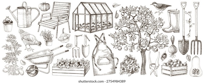 Horticulture and gardening vector set