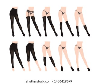 Hosiery elements - tights, stockings, golfs, leg warmers, socks, lingerie. vector illustration isolated