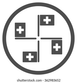 Hospital Flags Icon
