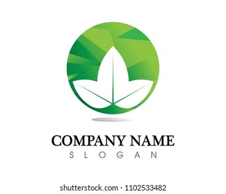 Hospital logo and symbols template icons app