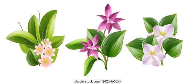 Herbergsblume. mehrfarbige Knospen einer exotischen Pflanze, grüner Busch mit großen breiten, gestreiften Blättern. Gartenpflanze für die Landschaftsdekoration mit hellen, bunten Blumen Hosta. Vektorgrafik, Set.