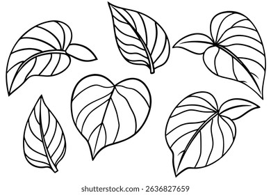 Hosta Leaf Line Art Illustration Elegant Drawing for Botanical Art (1)
