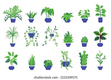 Hosue and office plants big set with different 
cute beautiful plant and tree set