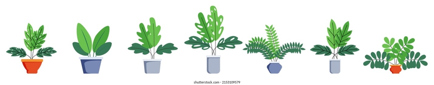 Hosue and office plants set with different plant tree set isolated