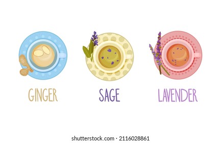 Hot aromatic tea set. Top view of teacup with ginger, sage, lavender tea vector illustration