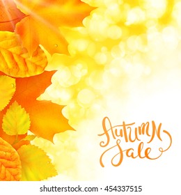 Hot autumn sale