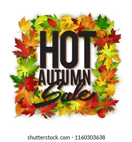 Hot autumn sale advertisement banner with red maple leaves, poster, retail, discount, vector illustration