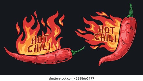 Hot chili emblem colorful with spicy pepper and flaming fire for food seasoning package design vector illustration
