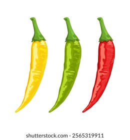 Hot Chili Pepper Assortments Vector Illustration Isolated on White.