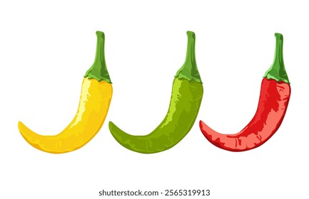 Hot Chili Pepper Assortments Vector Illustration Isolated on White.