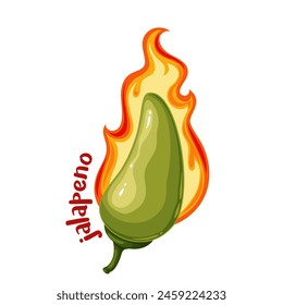 Hot chili pepper with fire and Jalapeno text, cartoon spice label. Green pepper pod with heat of flame and pungency, cartoon badge of spicy flavor for sauce and typography patch vector illustration