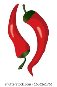 Hot Chili pepper. Fresh red cayenne. Vector illustration isolated on white background.