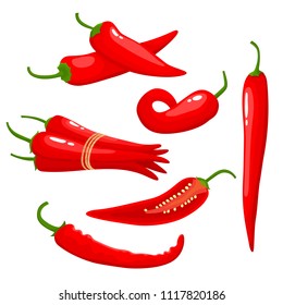Hot chili pepper isolated on white background. Vector set of cartoon fragrant whole and cut spices used for magazine, poster, card, menu cover and web pages.