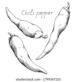 Hot chili pepper. Mexican traditional seasoning. Tasty spice. Whole vegetable. Isolated clipart set on white background. Hand-drawn ink sketch.