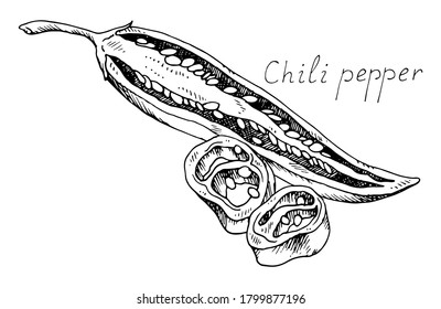 Hot chili pepper. Mexican traditional seasoning. Tasty spice. Whole, cut plant and seeds. Isolated illustration. Hand-drawn ink sketch.