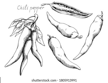 Hot chili pepper. Mexican traditional seasoning. Tasty spice. Whole, cut plant and seeds. Isolated clipart set on white background. Hand-drawn ink sketch.
