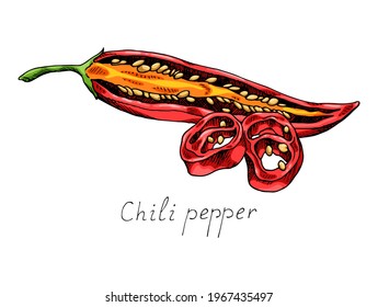 Hot chili pepper. Mexican traditional seasoning. Tasty spice. Whole, cut plant and seeds. Isolated illustration. Hand-drawn ink sketch.