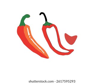 hot chili pepper. Red chili pepper hand drawn illustration. Vibrant red chili pepper illustration. Hand drawn red chili pepper. 