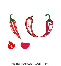 hot chili pepper. Red chili pepper hand drawn illustration. Vibrant red chili pepper illustration. Hand drawn red chili pepper. Red chilipepper doodle