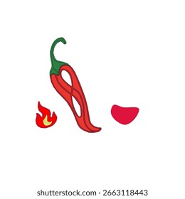 hot chili pepper. Red chili pepper hand drawn illustration. Vibrant red chili pepper illustration. Hand drawn red chili pepper. Red chilipepper doodle