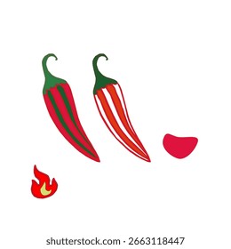 hot chili pepper. Red chili pepper hand drawn illustration. Vibrant red chili pepper illustration. Hand drawn red chili pepper. Red chilipepper doodle