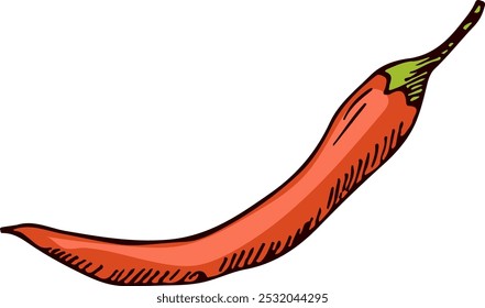 Hot chili pepper sketch. Red spicy vegetable