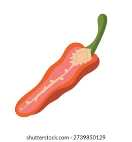 Hot Chili Pepper Vector Isolated

