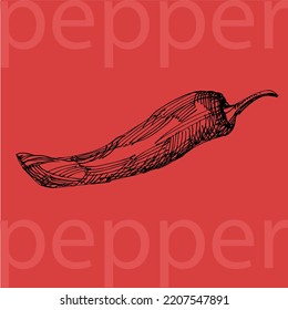 Hot chili pepper. Vintage hatching vector black illustration. Highlighted on a red background. Hand-drawn design. Engraved art. Design for groceries, markets, packaging, labels, recipes, menus