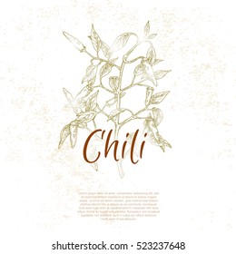 Hot chili pepper, vintage style illustration with pepper, chili gravure style label for hot sauce