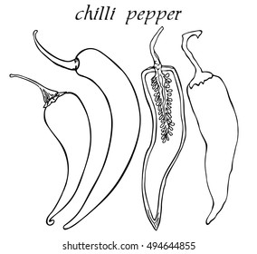 Hot chili pepper. Whole and halved chilli. Vector hand drawn vegetables isolated on white background.