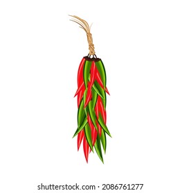 Hot chili peppers garland hanging ristra vector. Red green spicy pepper cartoon design element. Mexican traditional hand drawn paprika symbol. Chili cooking ingredient in Mexico tradition illustration