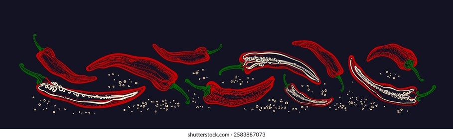 Hot chili peppers, pods cut into half. Fresh vegetable spice. Hand drawn vintage vector collection. Cayenne or jalapeno with seeds. Mexican paprika. Graphic print for food package, vegan design