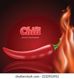 Hot chilli pepper vector illustration with realistic chilli