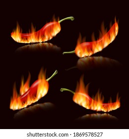 Pimientos picantes. Pimienta roja realista en llamas de fuego, pimientos mexicanos ardientes y rojos aislados de ilustraciones vectoriales. Hortalizas orgánicas para salsas alimenticias, cocina
