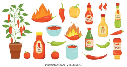 Hot chilly sauce. Spicy pepper. Seasoning chilli food. Spice jalapeno. Mexican cuisine. Cayenne or habanero. Plant in pot. Paprika condiments set. Vector doodle nowaday illustrations