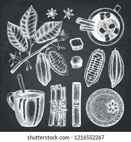 Hot chocolate in a cup on chalkboard. Cinnamon, anise, cocoa beans, cocoa plant and sweets drawings. Vector beverages and food collection. Hot drinks menu template for confectionery or coffee shop.