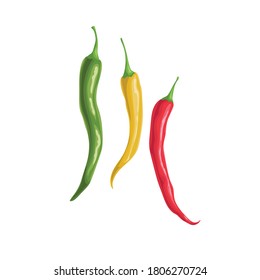 Hot different color chilli peppers. Hot burning vegetable. Flat cartoon design style. Group cayenne peppers vector illustration isolated on white background.