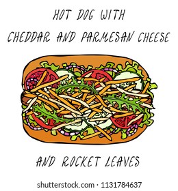 Hot Dog with Cheddar and Parmesan Cheese, Rocket, Lettuce Salad, Tomato, Cucumber, Onion Rings. Fast Food Collection. Realistic Hand Drawn High Quality Vector Illustration. Doodle Style.